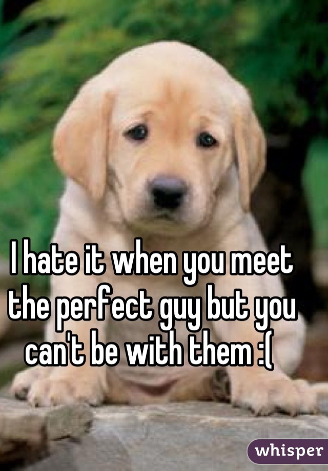 I hate it when you meet the perfect guy but you can't be with them :( 