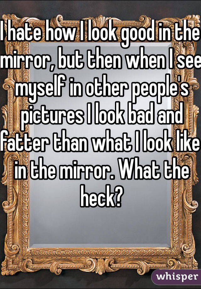 I hate how I look good in the mirror, but then when I see myself in other people's pictures I look bad and fatter than what I look like in the mirror. What the heck?  