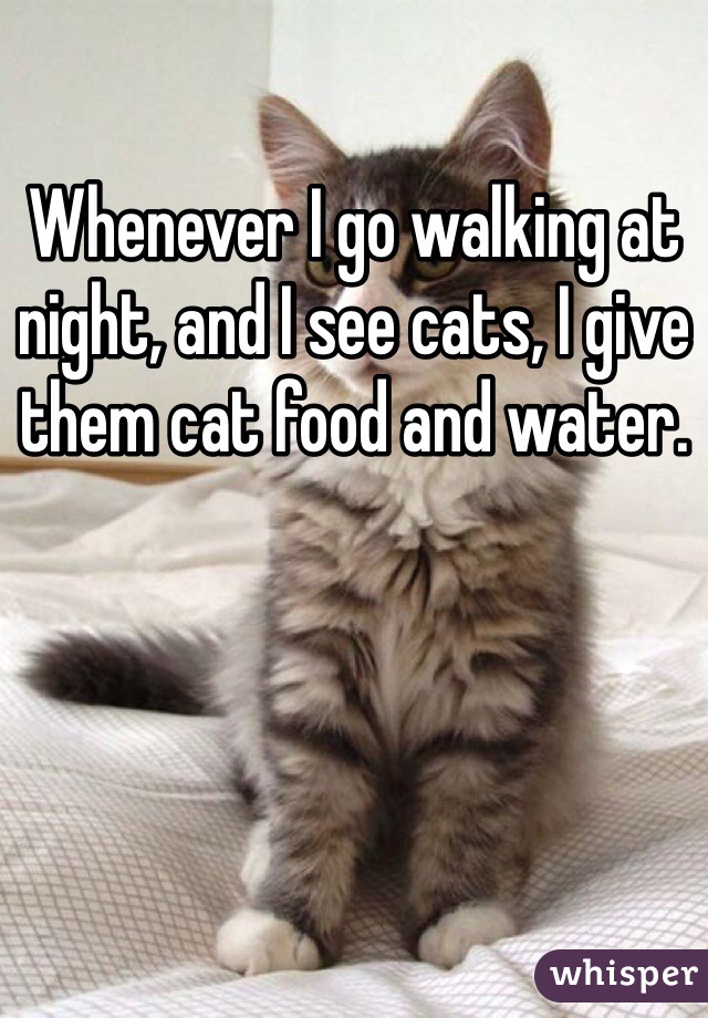 Whenever I go walking at night, and I see cats, I give them cat food and water. 