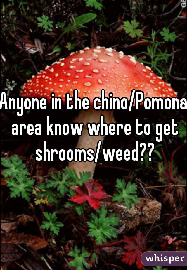 Anyone in the chino/Pomona area know where to get shrooms/weed??