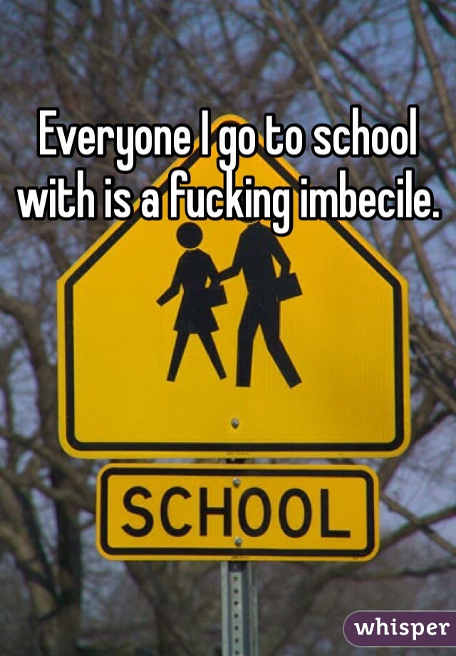 Everyone I go to school with is a fucking imbecile.
