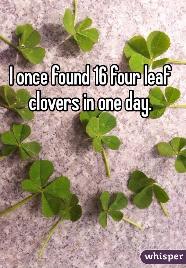 I once found 16 four leaf clovers in one day.
