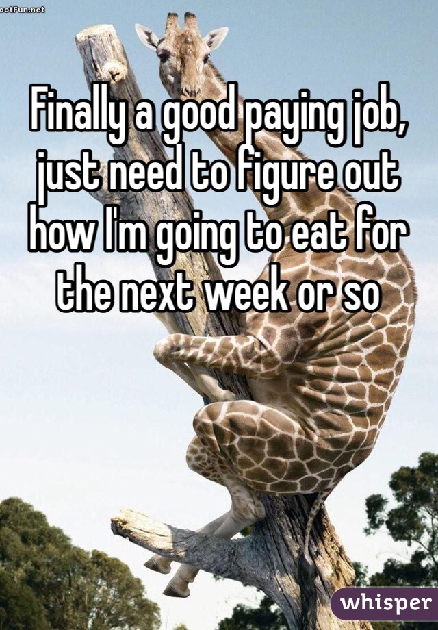 Finally a good paying job, just need to figure out how I'm going to eat for the next week or so