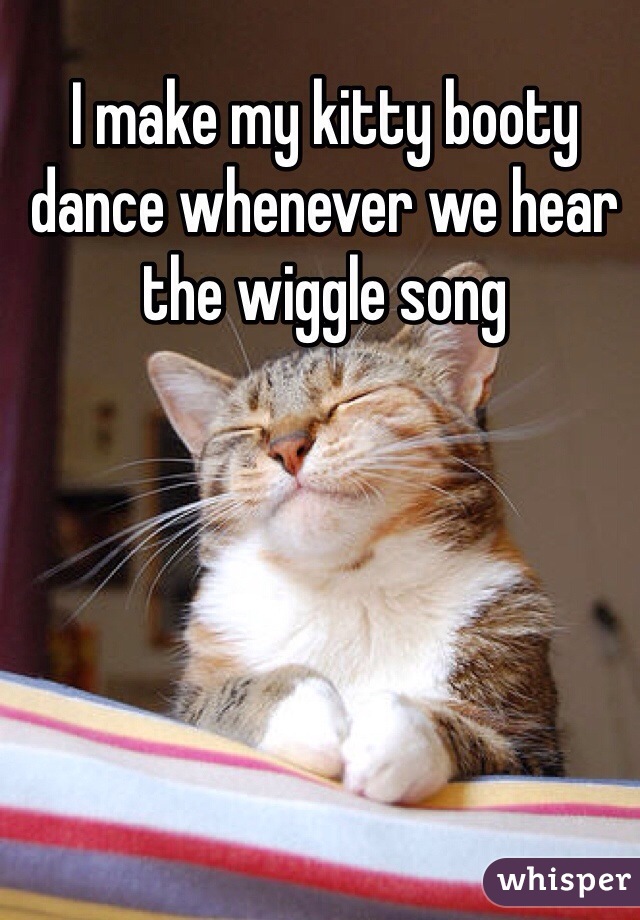 I make my kitty booty dance whenever we hear the wiggle song