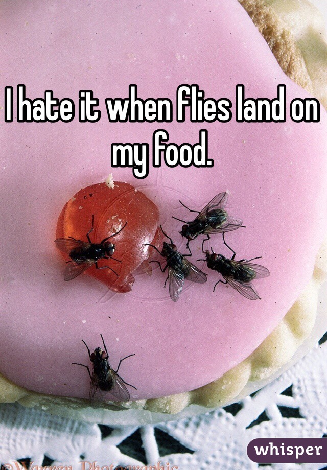 I hate it when flies land on my food.
