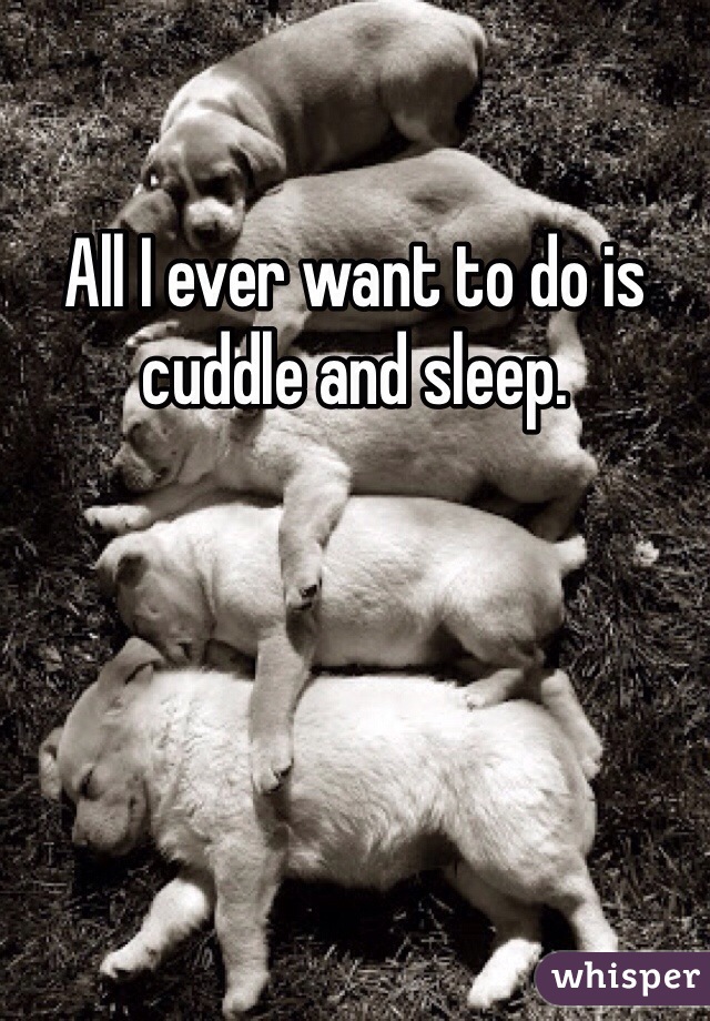 All I ever want to do is cuddle and sleep. 