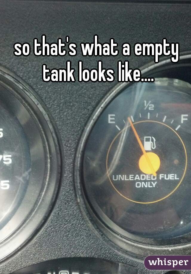 so that's what a empty tank looks like....