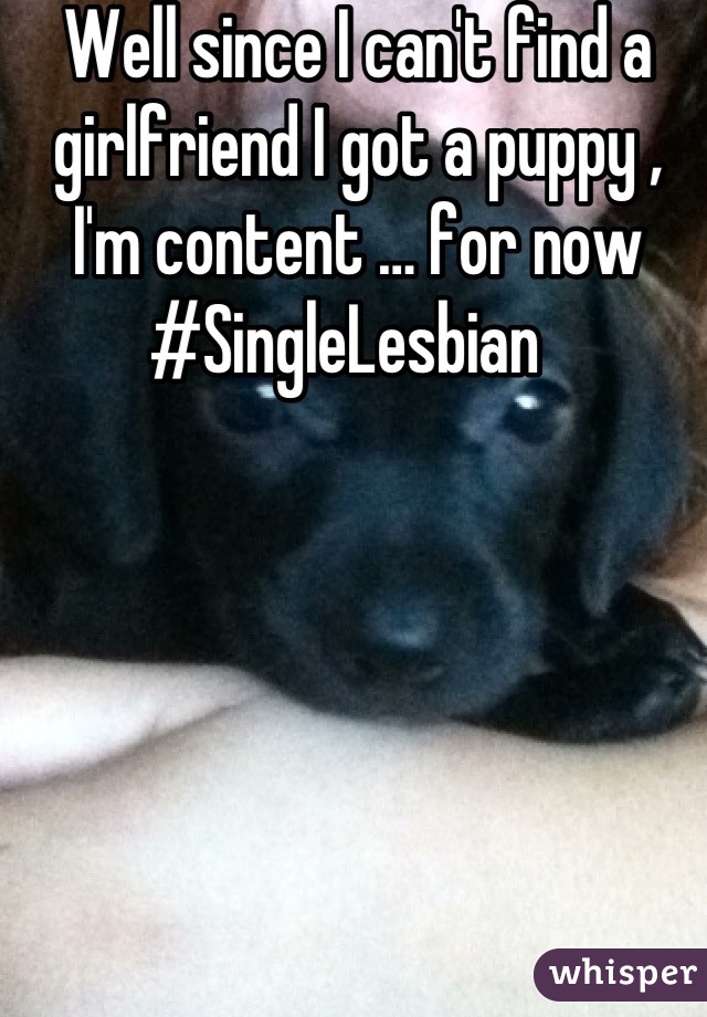 Well since I can't find a girlfriend I got a puppy , I'm content … for now #SingleLesbian  