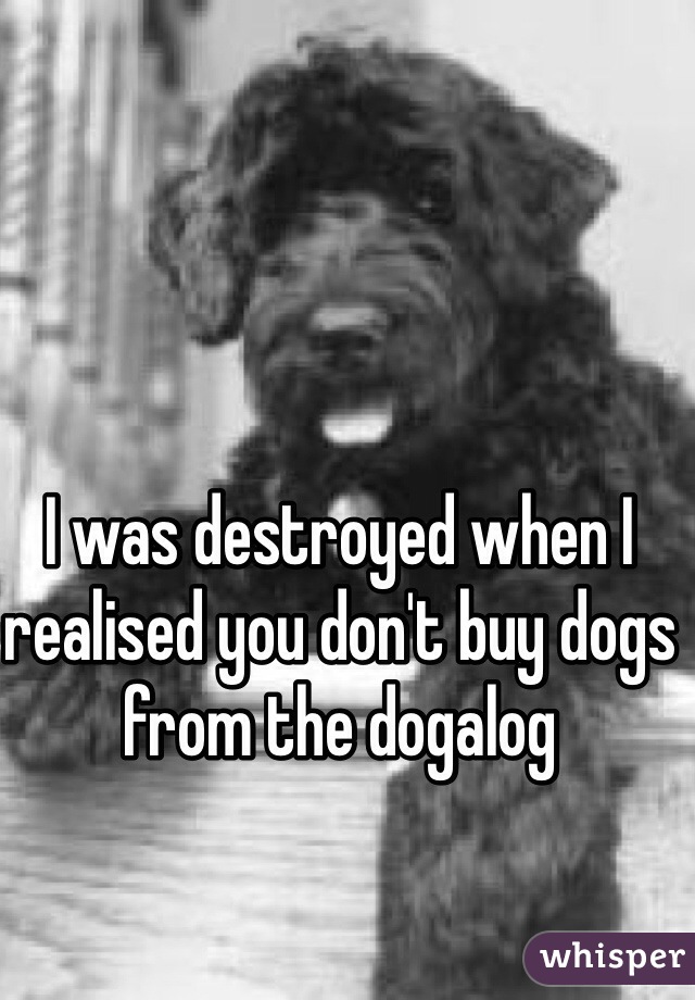 I was destroyed when I realised you don't buy dogs from the dogalog 