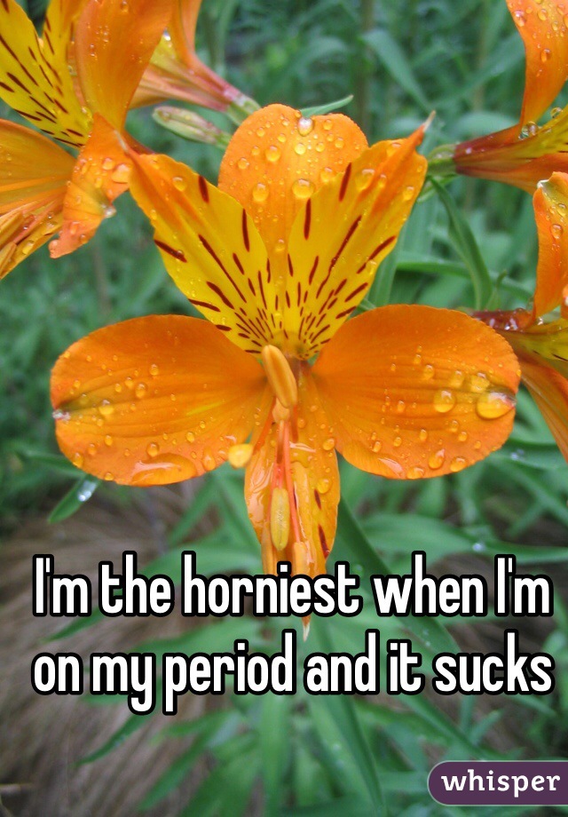 I'm the horniest when I'm on my period and it sucks 