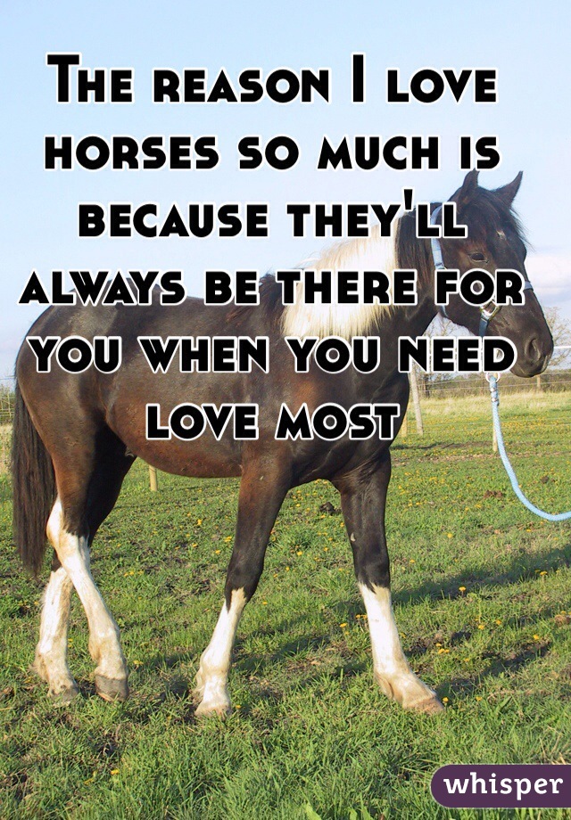 The reason I love horses so much is because they'll always be there for you when you need love most