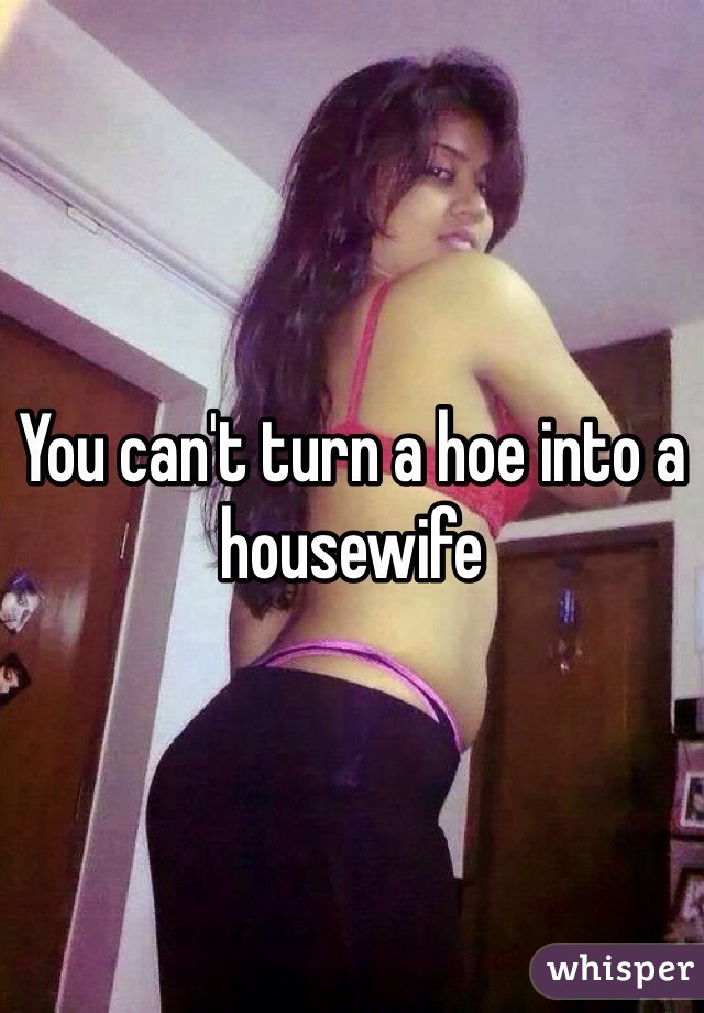 You can't turn a hoe into a housewife