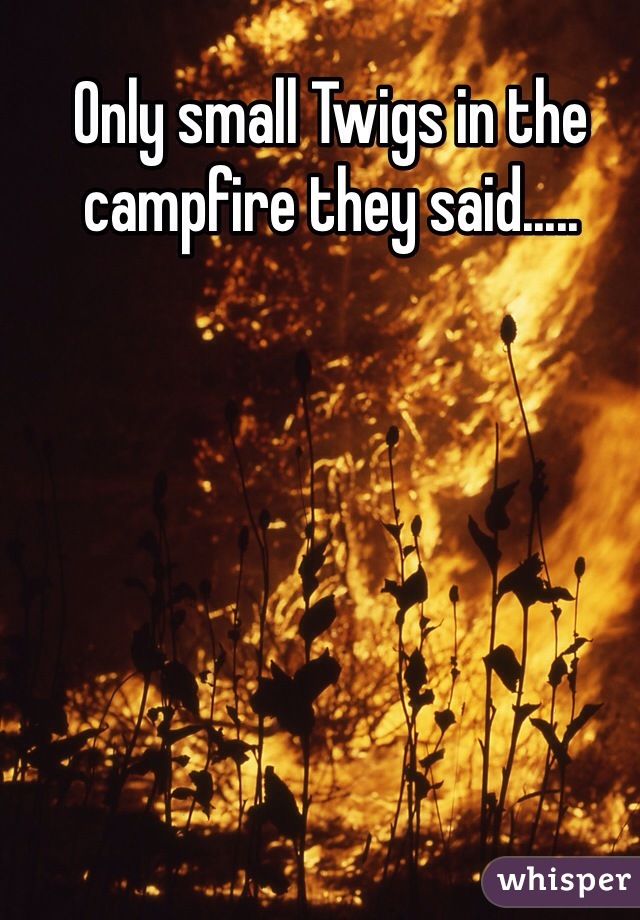 Only small Twigs in the campfire they said.....