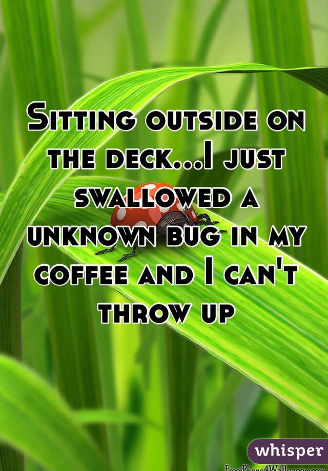 Sitting outside on the deck...I just swallowed a unknown bug in my coffee and I can't throw up