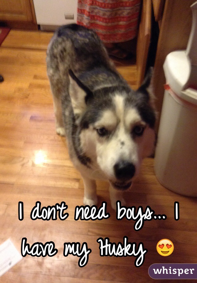 I don't need boys... I have my Husky 😍