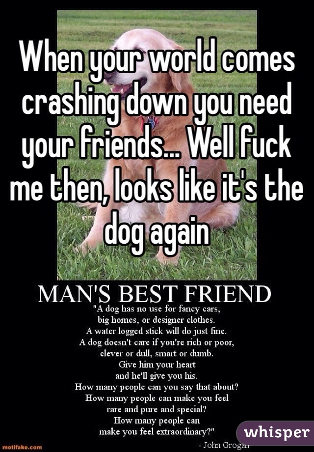 When your world comes crashing down you need your friends... Well fuck me then, looks like it's the dog again 