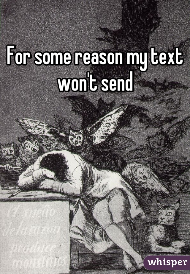 For some reason my text won't send