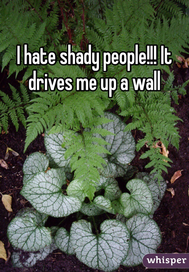 I hate shady people!!! It drives me up a wall