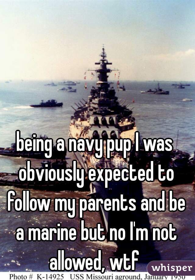 being a navy pup I was obviously expected to follow my parents and be a marine but no I'm not allowed, wtf 