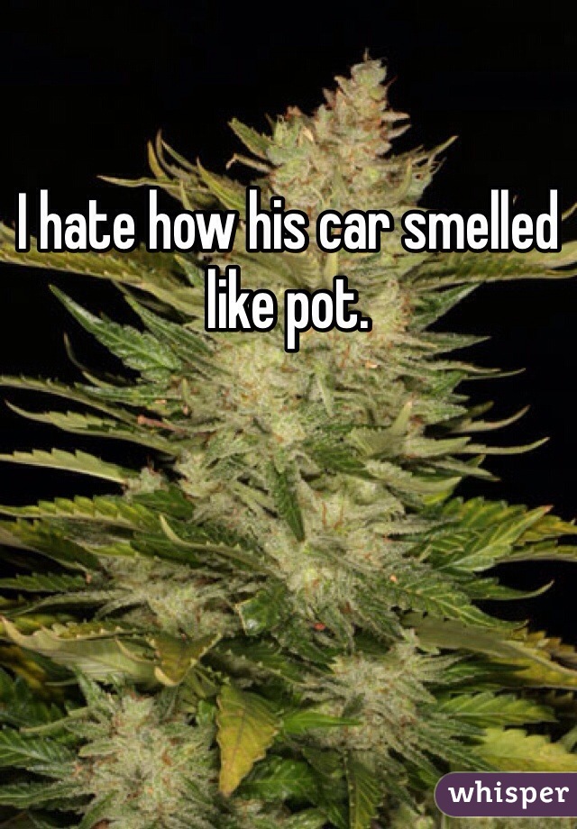 I hate how his car smelled like pot. 