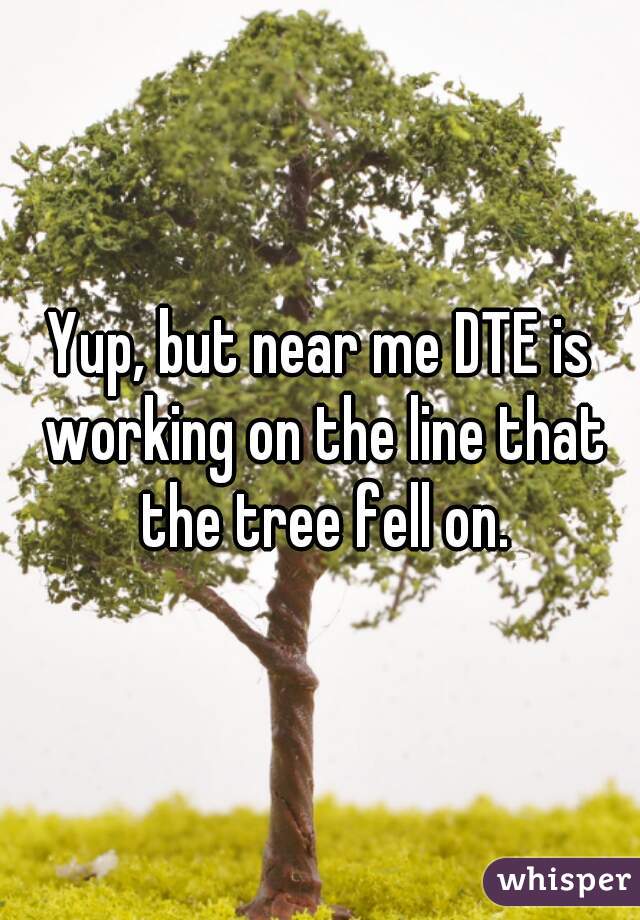 Yup, but near me DTE is working on the line that the tree fell on.