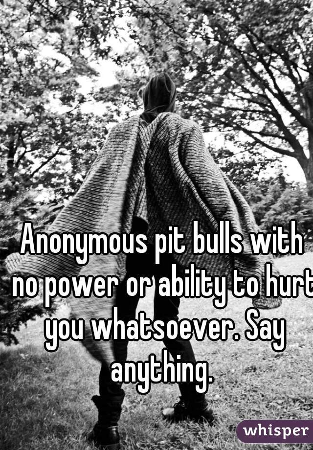 Anonymous pit bulls with no power or ability to hurt you whatsoever. Say anything. 