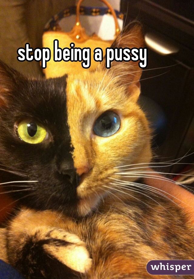 stop being a pussy 