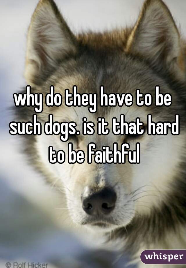 why do they have to be such dogs. is it that hard to be faithful