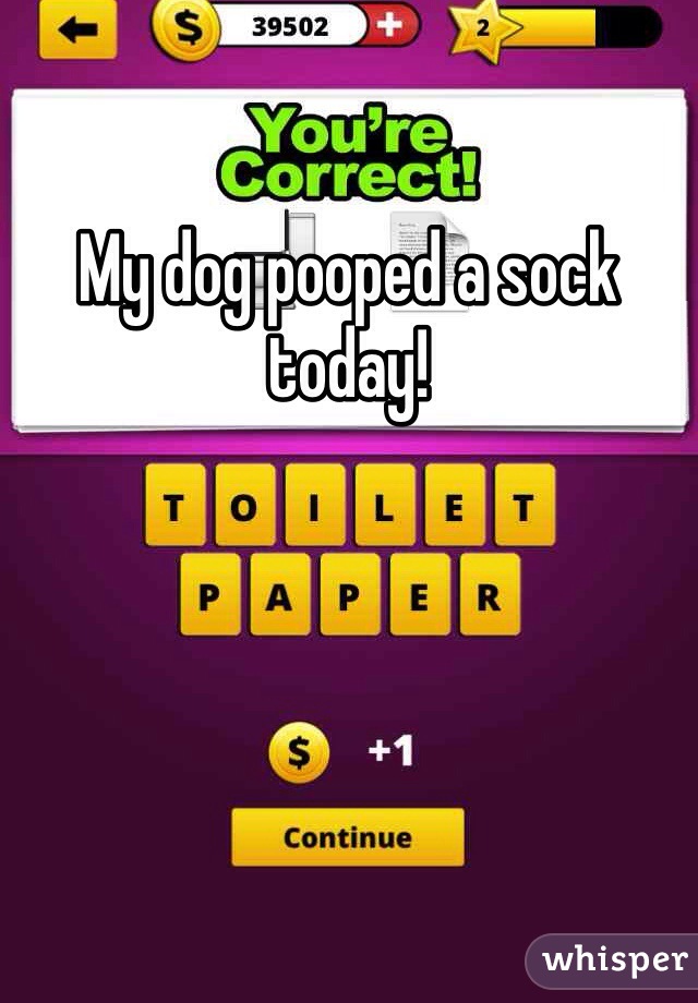 My dog pooped a sock today!