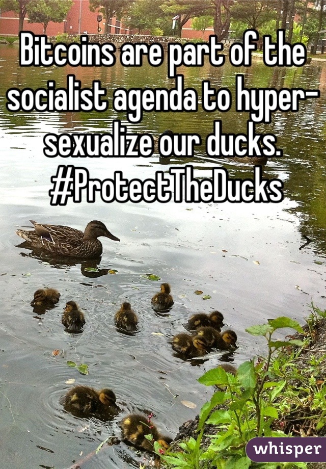 Bitcoins are part of the socialist agenda to hyper-sexualize our ducks.
 #ProtectTheDucks
