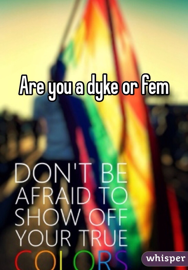 Are you a dyke or fem