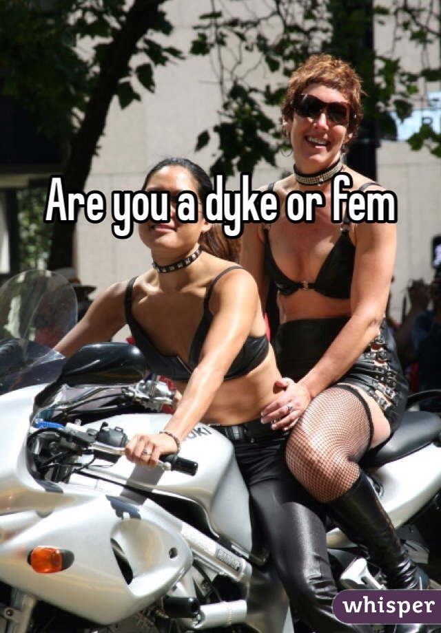Are you a dyke or fem 