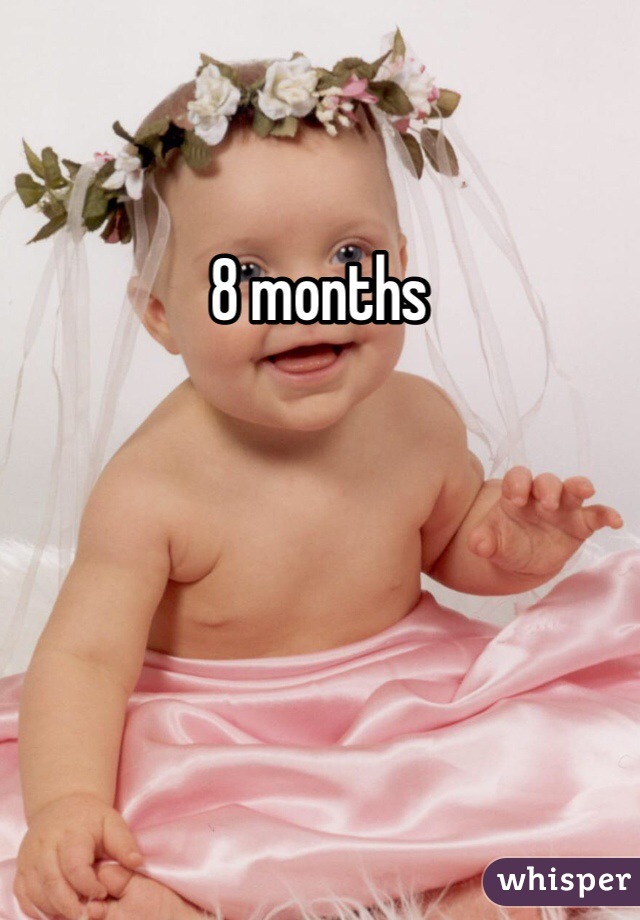 8 months 