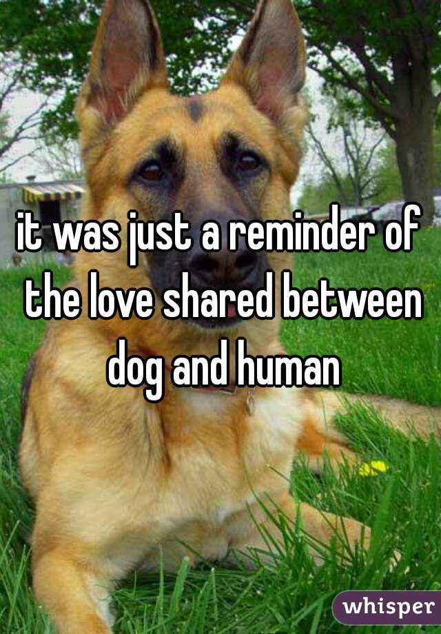 it was just a reminder of the love shared between dog and human
