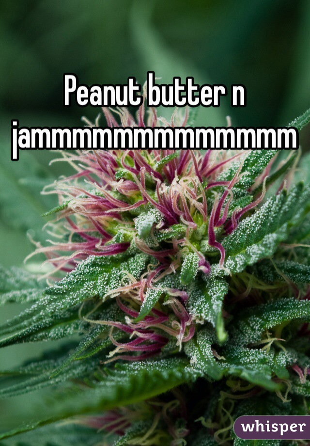 Peanut butter n jammmmmmmmmmmmm