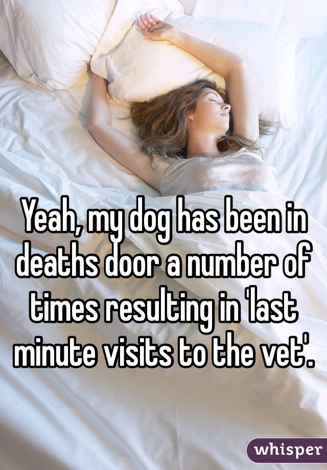 Yeah, my dog has been in deaths door a number of times resulting in 'last minute visits to the vet'. 