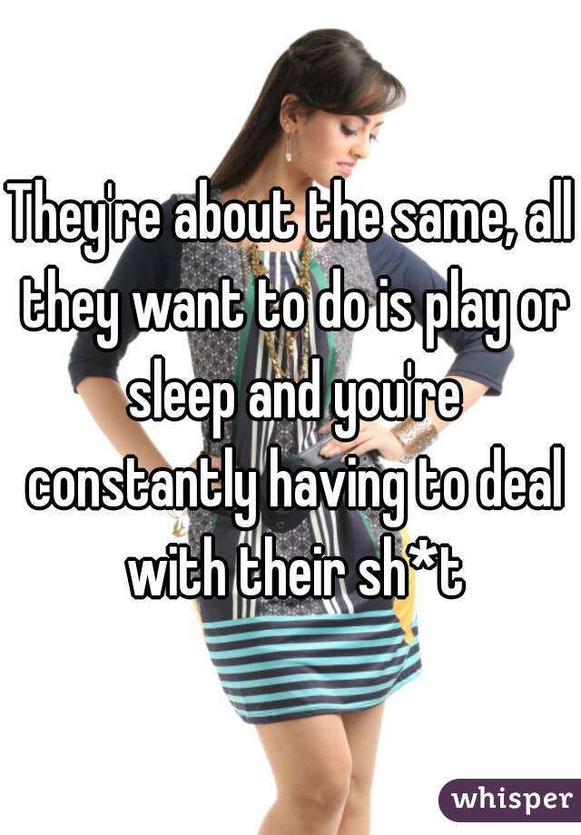 They're about the same, all they want to do is play or sleep and you're constantly having to deal with their sh*t