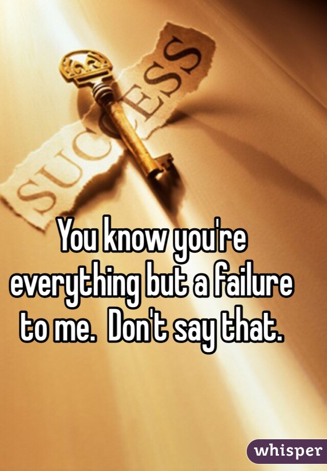 You know you're everything but a failure to me.  Don't say that.