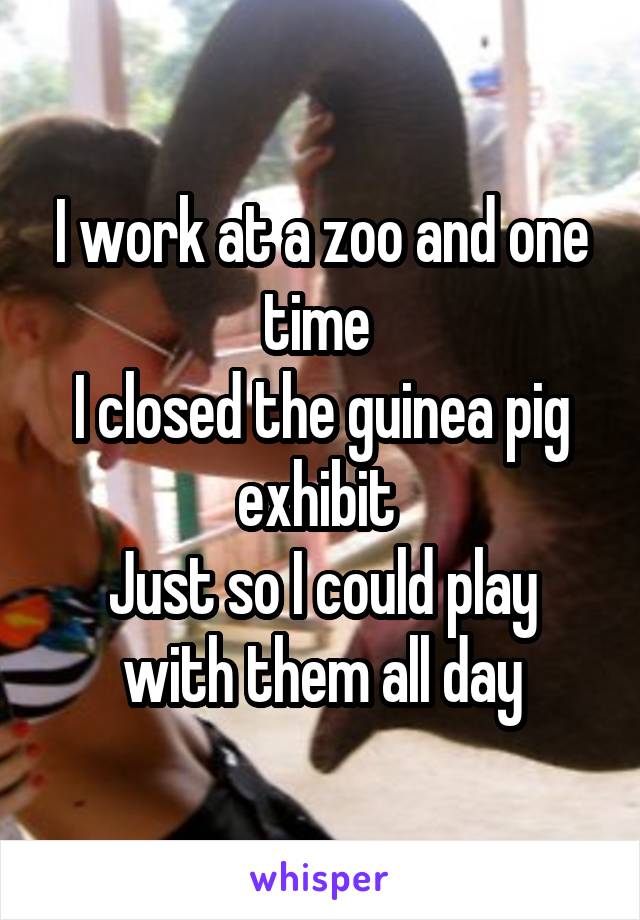 I work at a zoo and one time 
I closed the guinea pig exhibit 
Just so I could play with them all day