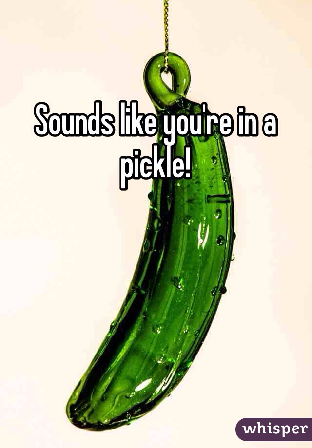 Sounds like you're in a pickle! 