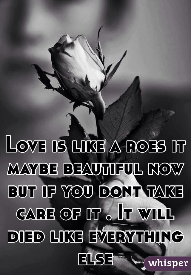 Love is like a roes it maybe beautiful now but if you dont take care of it . It will died like everything else 