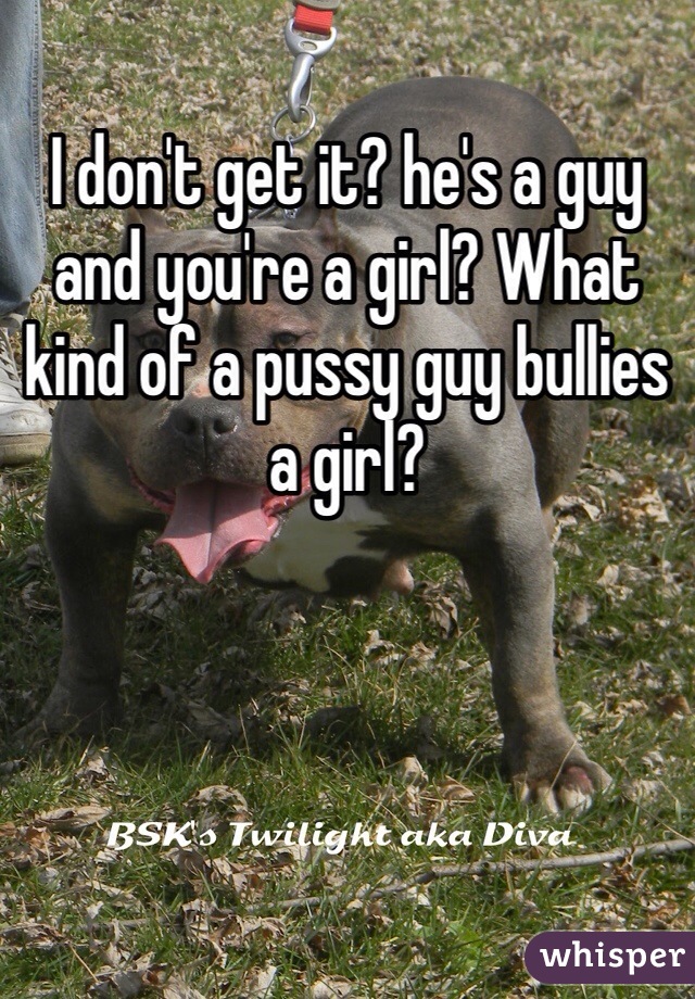 I don't get it? he's a guy and you're a girl? What kind of a pussy guy bullies a girl? 