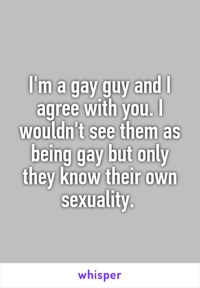 I'm a gay guy and I agree with you. I wouldn't see them as being gay but only they know their own sexuality. 