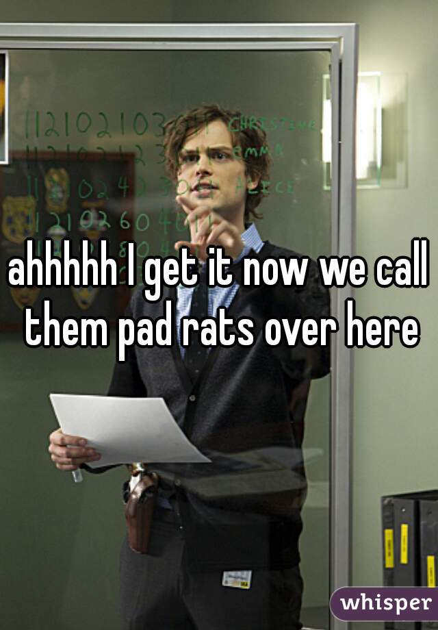 ahhhhh I get it now we call them pad rats over here