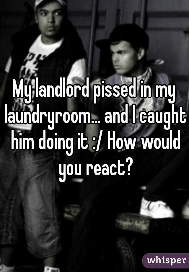 My landlord pissed in my laundryroom... and I caught him doing it :/ How would you react?