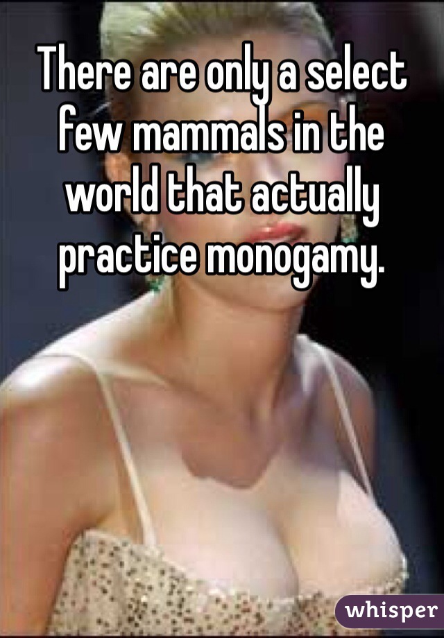 There are only a select few mammals in the world that actually practice monogamy.