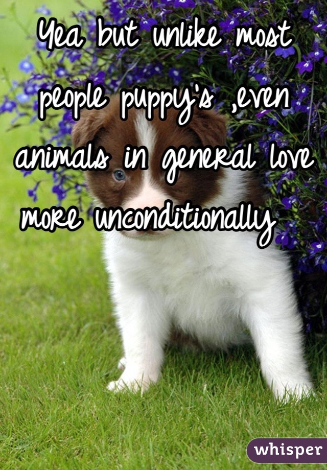 Yea but unlike most people puppy's ,even animals in general love more unconditionally  