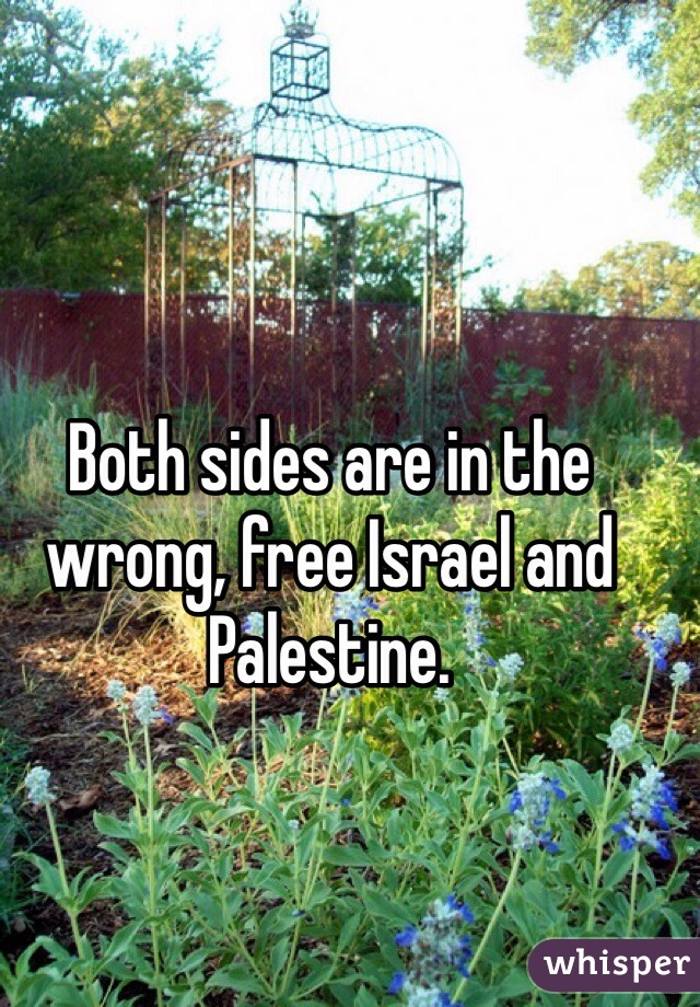 Both sides are in the wrong, free Israel and Palestine.