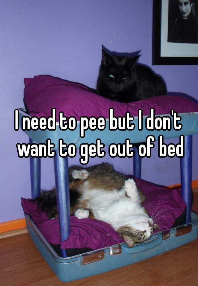 i-need-to-pee-but-i-don-t-want-to-get-out-of-bed