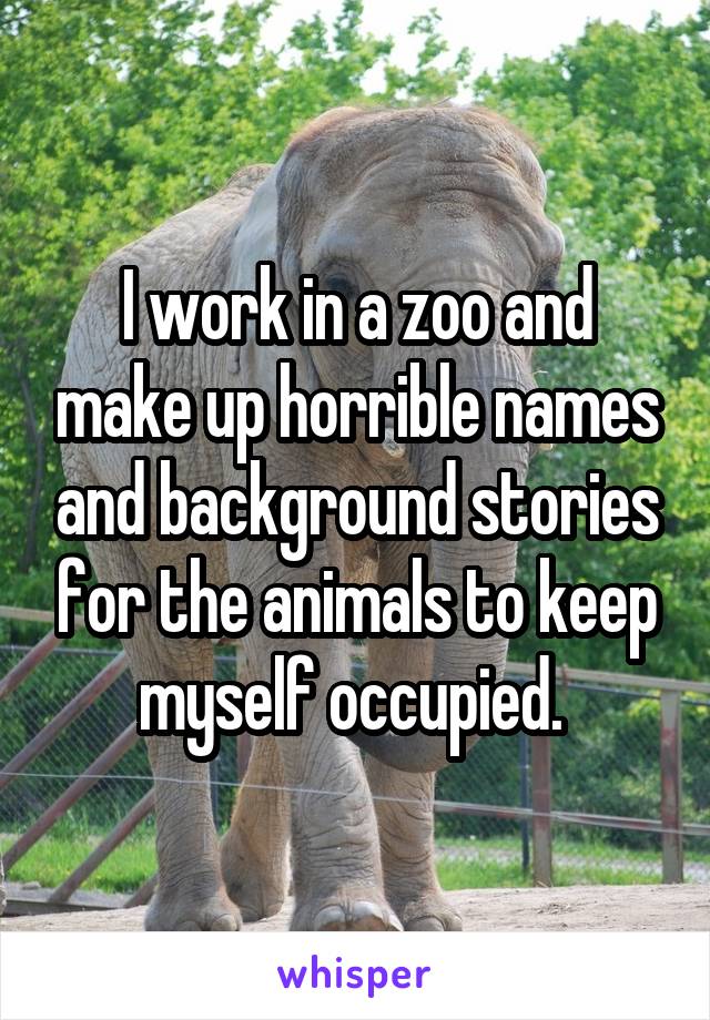 I work in a zoo and make up horrible names and background stories for the animals to keep myself occupied. 